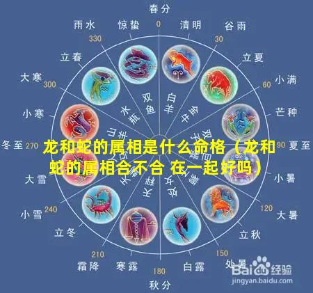 龙和蛇的属相是什么命格（龙和蛇的属相合不合 在一起好吗）